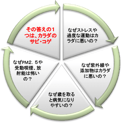 なぜストレスや過度な運動は悪い？なぜ紫外線は悪い？なぜ歳を取ると病気になりやすい？なぜPM２，５や受動喫煙、放射能は怖い？その答えの１つは、カラダのサビ・コゲ