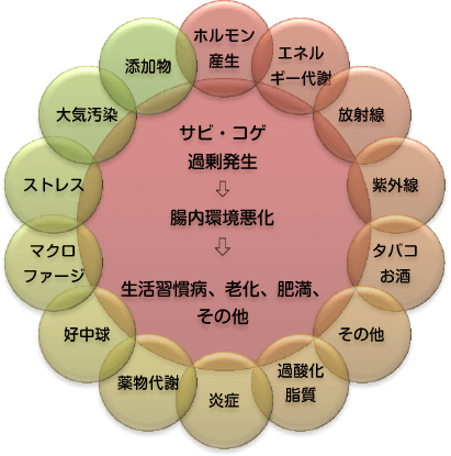 サビ・コゲ過剰発生すると腸内環境が悪化し、生活習慣病、老化、肥満などになる可能性が高まります。