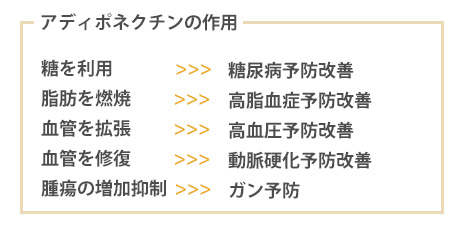 アディポネクチンの作用