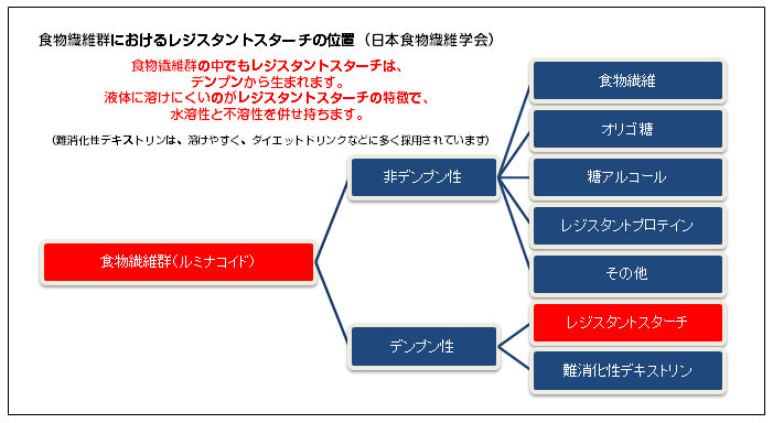 ント スターチ 食品 レジスタ