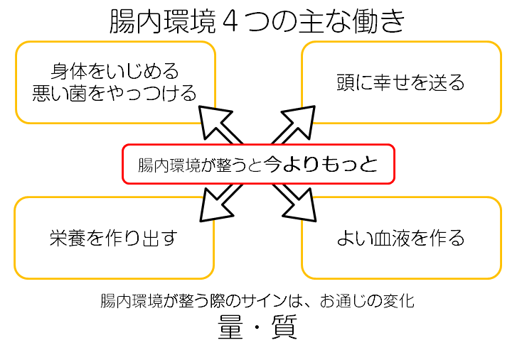 腸内環境の働き