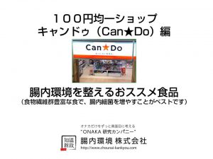 １００円均一ショップキャンドゥ（Can★Do）腸内環境を整えるおススメ食品