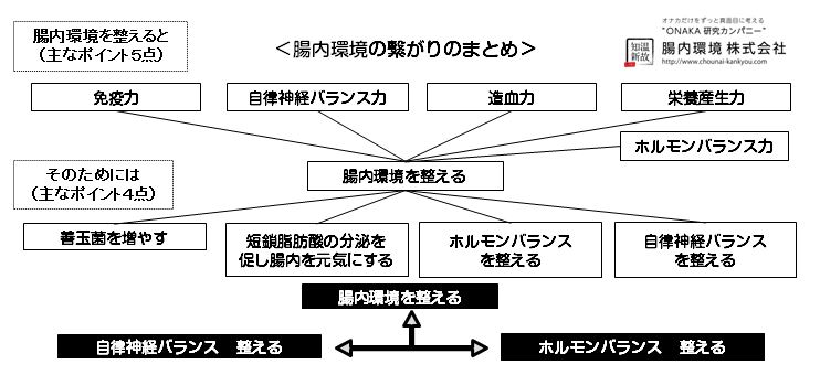 腸内環境の繋がり自律神経　ホルモンバランス