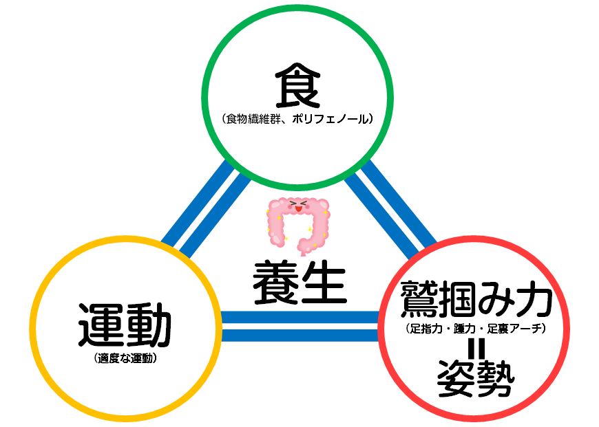 を 整える 内 環境 腸