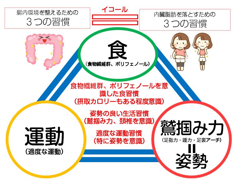 腸内環境を整えるための３つの習慣、イコール内臓脂肪を落とすための３つの習慣