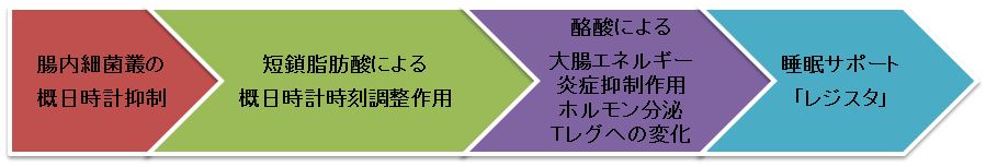 レジスタントスターチ　サプリメント　レジスタ　睡眠サポート　理由