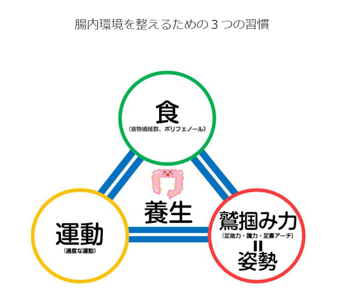 腸内環境を整えるには、食（レジスタントスターチ等の食物繊維群、ファイトケミカル）＋姿勢を正した運動