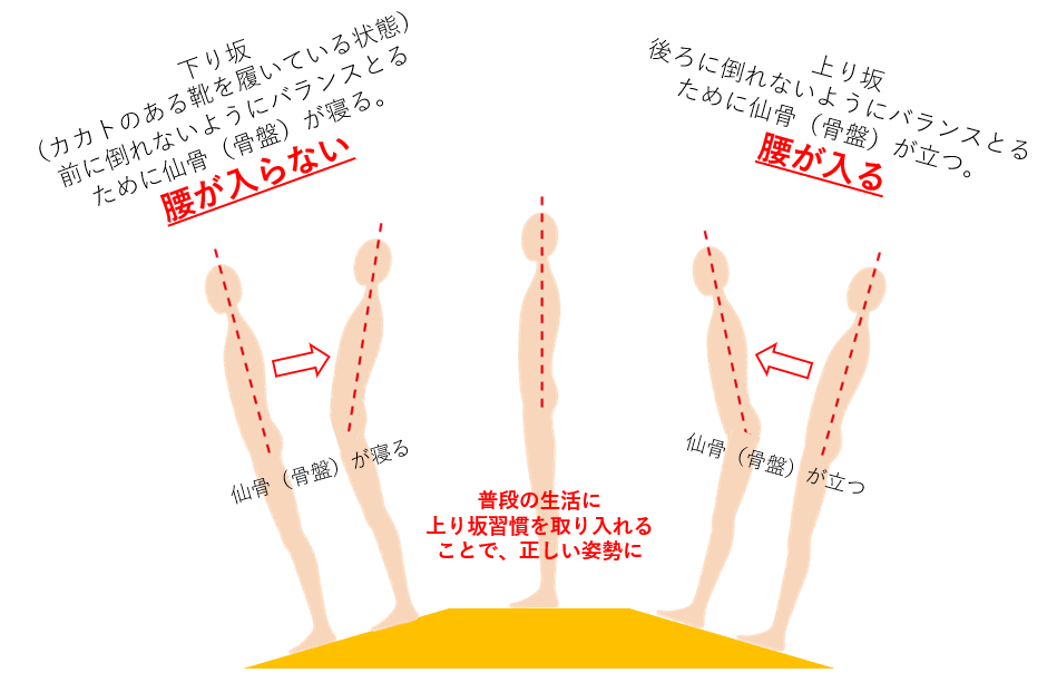 ワシーガリング特徴