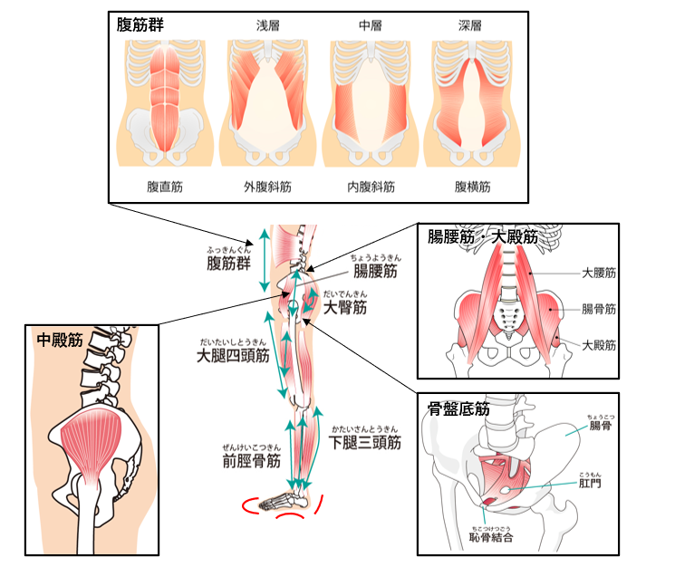 ワシーガシリーズを使用することで、 期待出来る変化