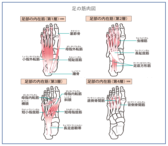 ワシーガシリーズを使用することで、期待出来る変化