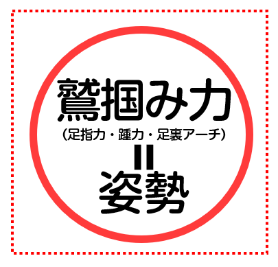 鷲掴み力（足指力、足趾把持力、足指握力、踵力、足裏アーチ力）＝姿勢