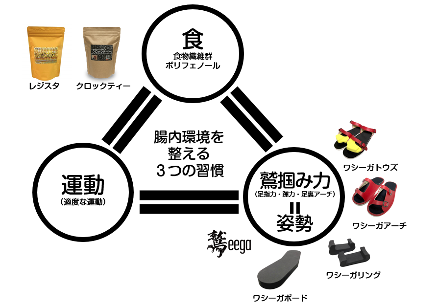 腸内環境を整える３つの習慣　温故知新ラボ