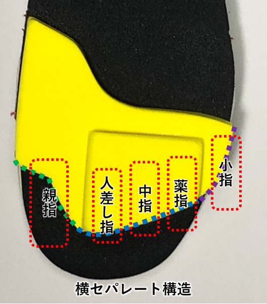 ワシーガトウズにおける足指のかかる先端黄色部についての特徴