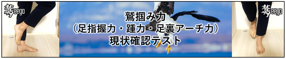 鷲掴み力（足指握力・踵力・足裏アーチ力）現状確認テスト