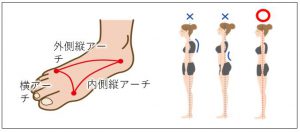 ワシーガ アーチは、スタンディングデスク専用サンダルとして、人間工学に基づくサード・ブリッジ機能を採用。 足裏から姿勢を整え、足裏ツボ・反射区への押圧を可能にすることで、外からオナカにアプローチします。 履くことで足裏の短・長母指屈筋からヒラメ筋→中殿筋→腸腰筋/腹横筋/弓状線（オナカのインナーマッスル）に連動していきます。