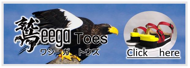 足指力強化のための足指握力（足趾把持力）強化トレーニング　サンダル型フットギア「ワシーガトウズ」