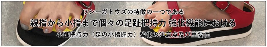 ワシーガトウズの特徴の一つである親指から小指まで個々の足趾把持力 強化機能における小趾把持力（足の小指握力）強化の注意点及び重要性