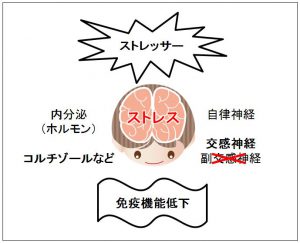 昨今のコロナ禍の中で、多くの人々が強いストレス抱えています。  強いストレスを感じ続けることは、 様々な不調が起こる原因の一つになります。