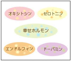 ストレス緩和の幸せホルモン分泌方法