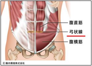 ぽっこりお腹の一番の原因　弓状線の緩み　ワシーガスタイル