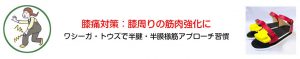 膝痛対策：膝周りの筋肉強化に「ワシーガトウズで半腱・半膜様筋アプローチ習慣」