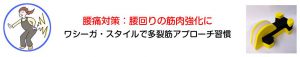 腰痛対策：腰回りの筋肉強化に「ワシーガスタイルで多裂筋アプローチ習慣」