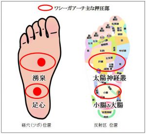 ワシーガアーチの突起が刺激する足裏の経穴（ツボ）・反射区