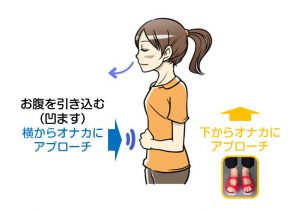 アーチを履いてお腹を繰り返し引き込む習慣でダイエットが期待できます。