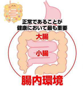 腸内環境が正常であることが健康においての一丁目一番地
