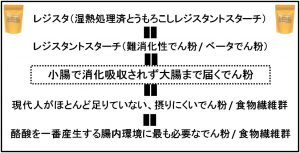 レジスタ（湿熱処理済とうもろこしレジスタントスターチ）