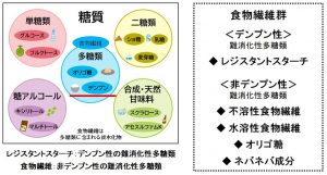 レジスタントスターチ：デンプン性の難消化性多糖類、食物繊維：非デンプン性の難消化性多糖類
