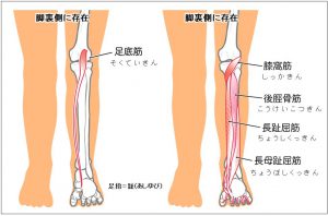 ワシーガトウズ、アーチを使用する最大の理由
