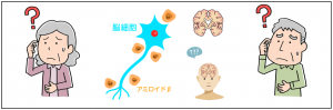 認知症における腸内環境が影響を及ぼす研究論文（エビデンス）からのレジスタントスターチ摂取について