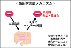 歯周病発症メカニズム