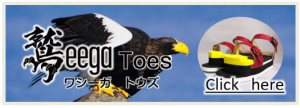ワシーガ・トウズ詳細ページ
