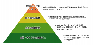 レジスタ（湿熱処理済ＲＳ）×プロテインの相性が最強な理由
