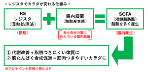 レジスタでカラダが変わる仕組み