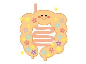 腸内環境を整える食をベースにした健康習慣の基礎確立