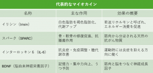 マイオカインは、筋肉由来の「善玉サイトカイン」