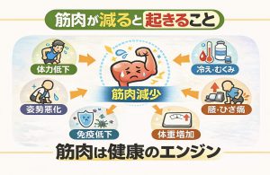 筋肉が減ると起きること