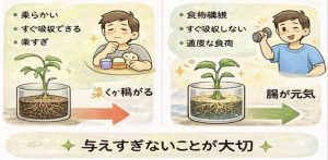 腸内環境も観葉植物も与えすぎない